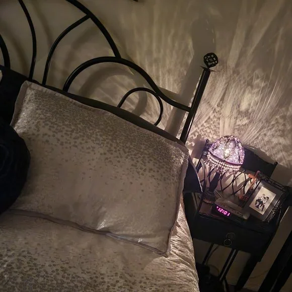 Comforter, shams, and rug - Picture 3 of 6